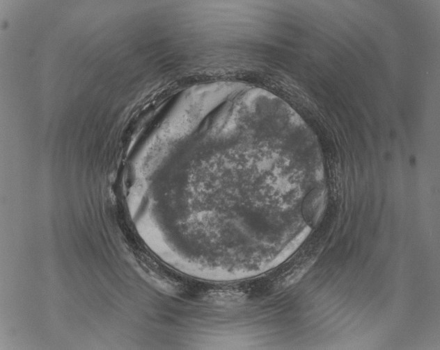 X0000068890644200605261847