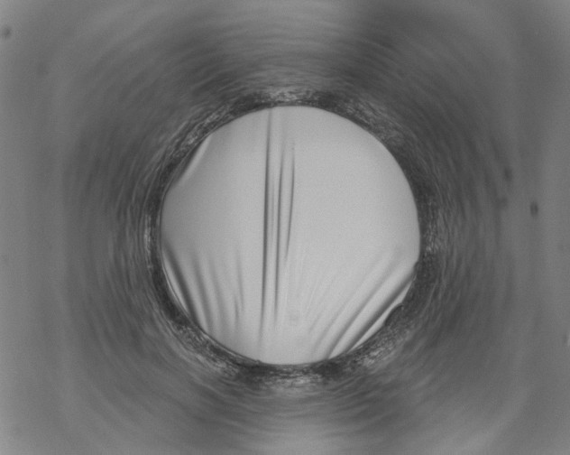 X0000068890646200605261847