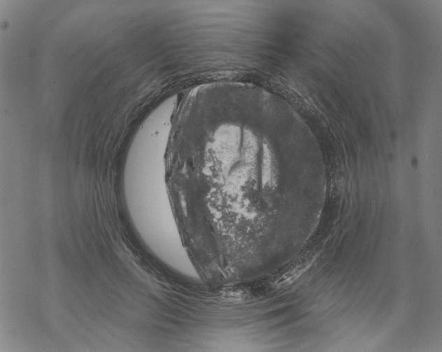 X0000068890647200605261847