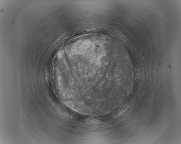 X0000068890648200605261847