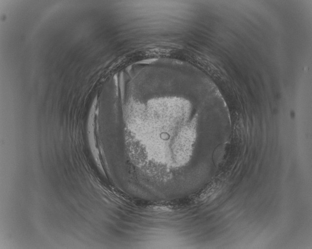 X0000068890649200605261847