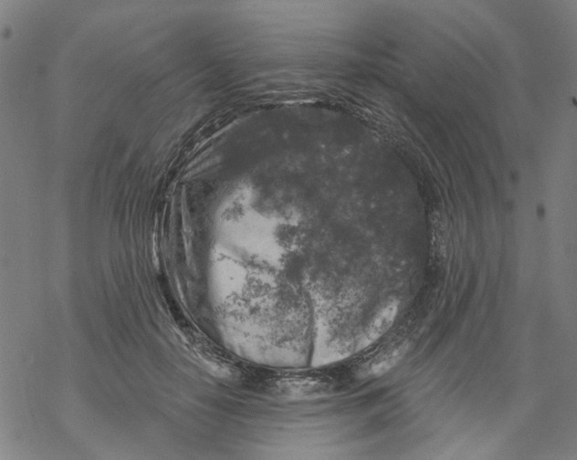 X0000068890650200605261847