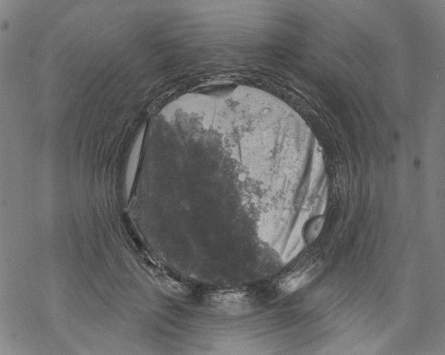 X0000068890651200605261847