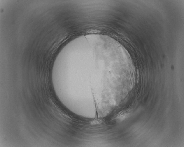 X0000068890652200605261847