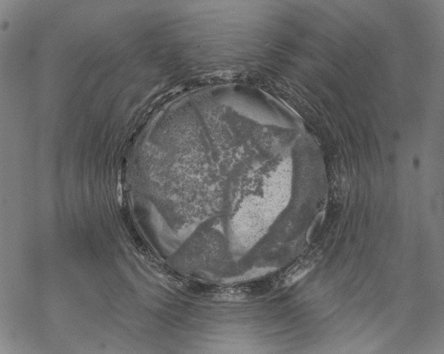 X0000068890656200605261847