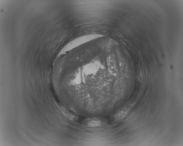 X0000068890658200605261847