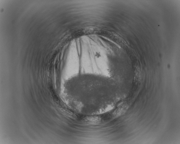 X0000068890659200605261847