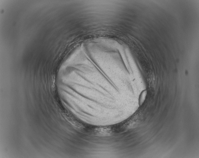 X0000068890660200605261847