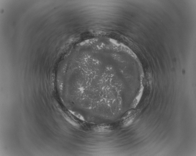 X0000068890664200605261847