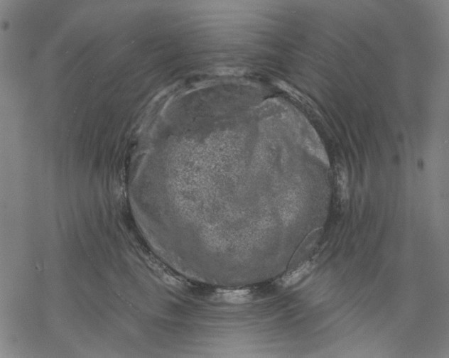 X0000068890665200605261847