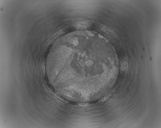 X0000068890666200605261847