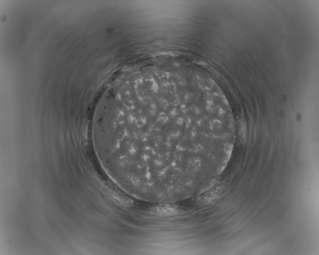 X0000068890668200605261847