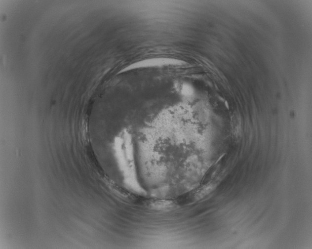 X0000068890669200605261847