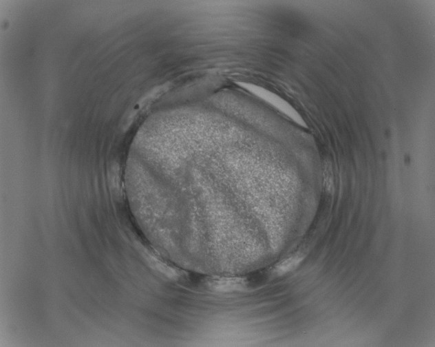 X0000068890670200605261847