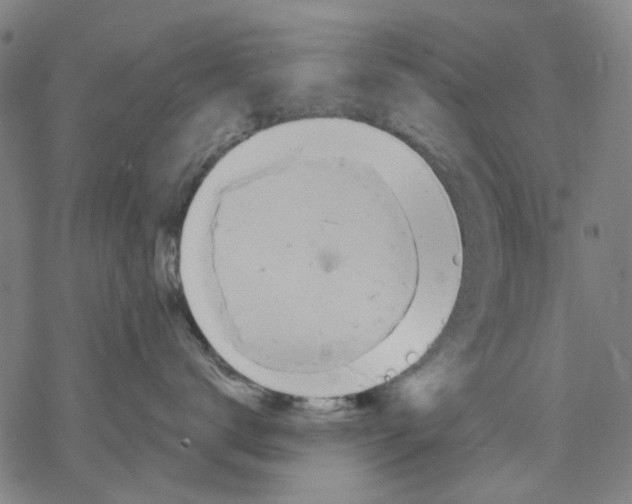 X0000068890672200605261847