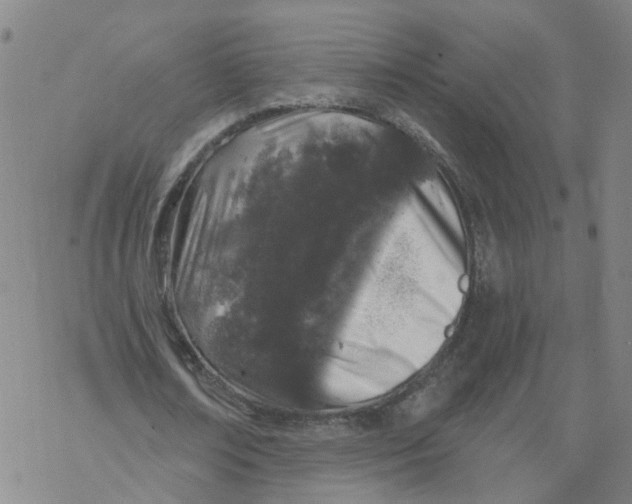 X0000068890674200605261846