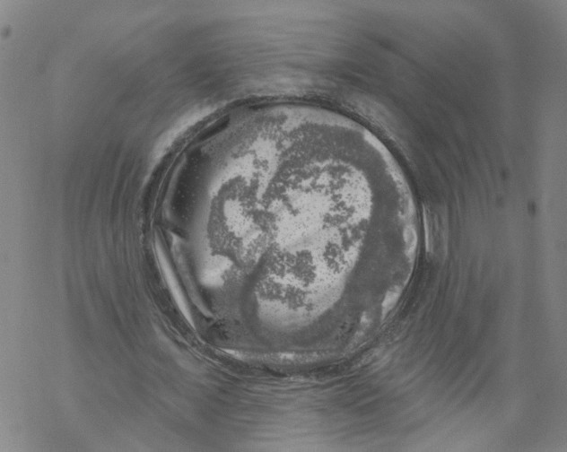 X0000068890675200605261846