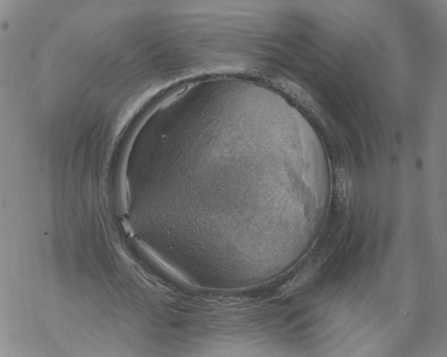 X0000068890676200605261846