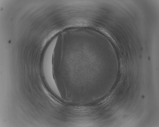 X0000068890677200605261846