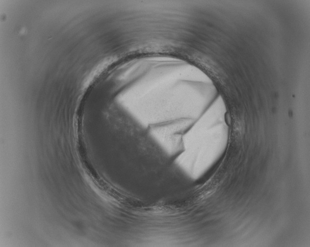 X0000068890678200605261846