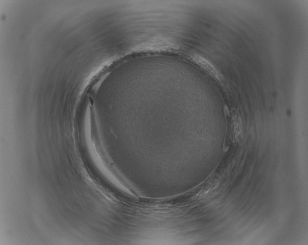 X0000068890680200605261846