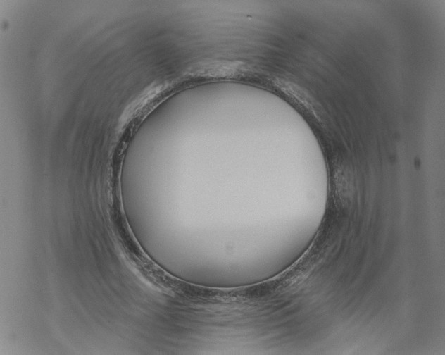 X0000068890682200605261846