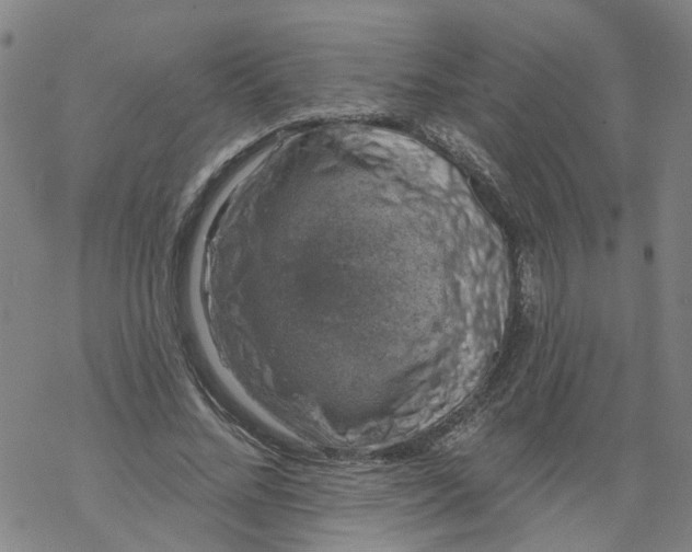 X0000068890684200605261846