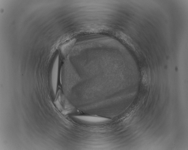 X0000068890685200605261846