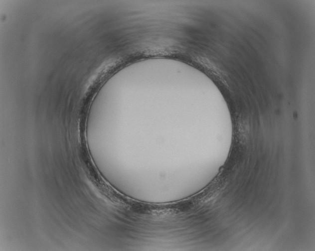 X0000068890686200605261846