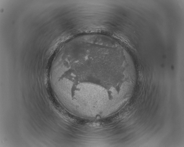 X0000068890687200605261846