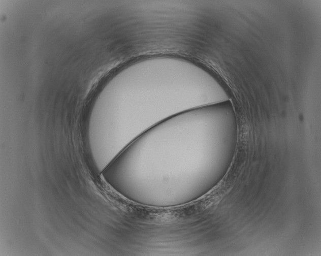 X0000068890688200605261846