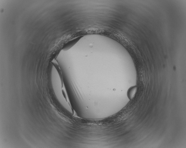 X0000068890690200605261846