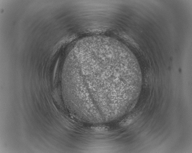 X0000068890693200605261846