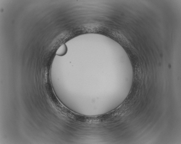 X0000068890694200605261846