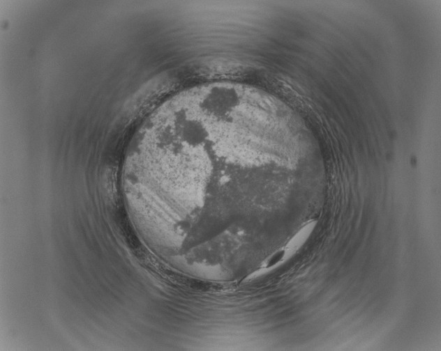 X0000068890695200605261846