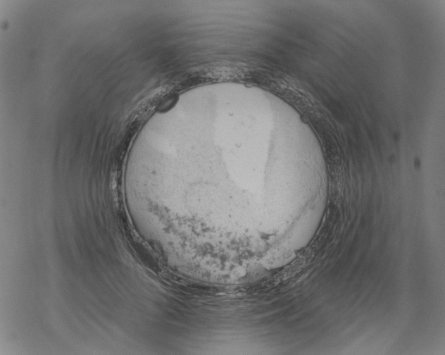 X0000068890696200605261846