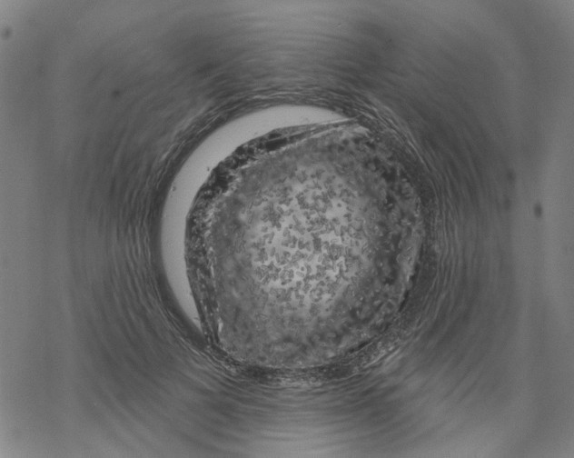 X0000068890697200605261846