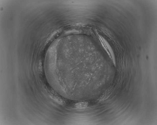 X0000068890700200605261846