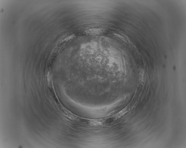 X0000068890701200605261846