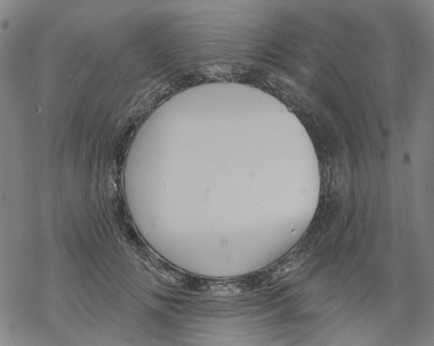 X0000068890702200605261846