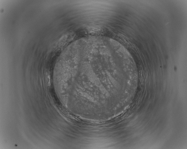 X0000068890703200605261846