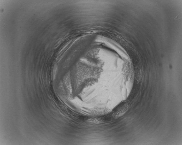 X0000068890704200605261846