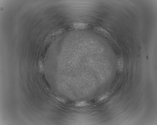 X0000068890705200605261846