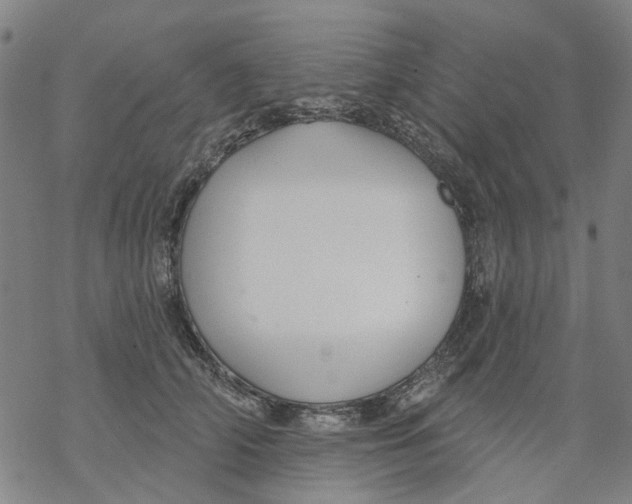 X0000068890706200605261846