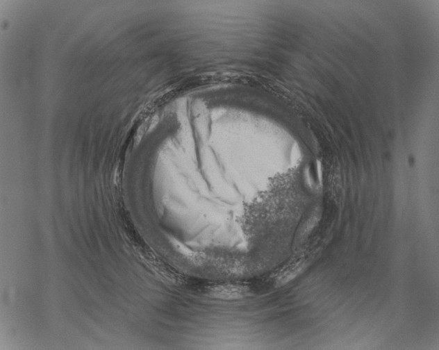 X0000068890708200605261846