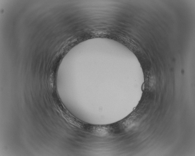 X0000068890710200605261846