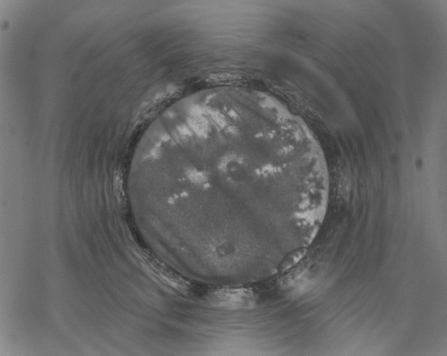 X0000068890711200605261846