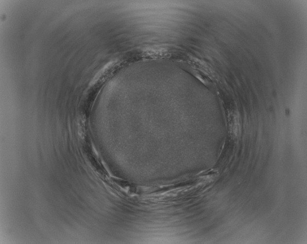 X0000068890712200605261846