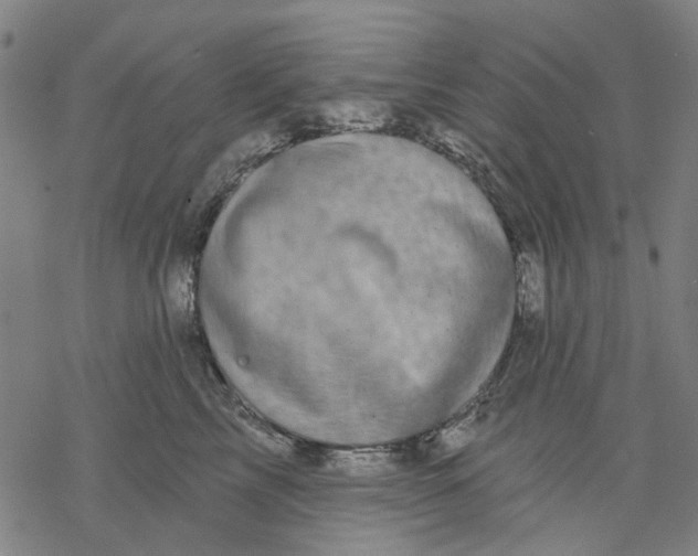 X0000068890713200605261846