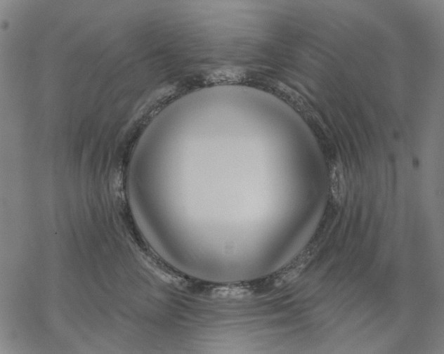 X0000068890714200605261846